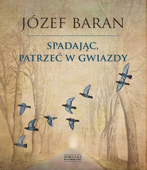 Image of Spadając patrzeć w gwiazdy
