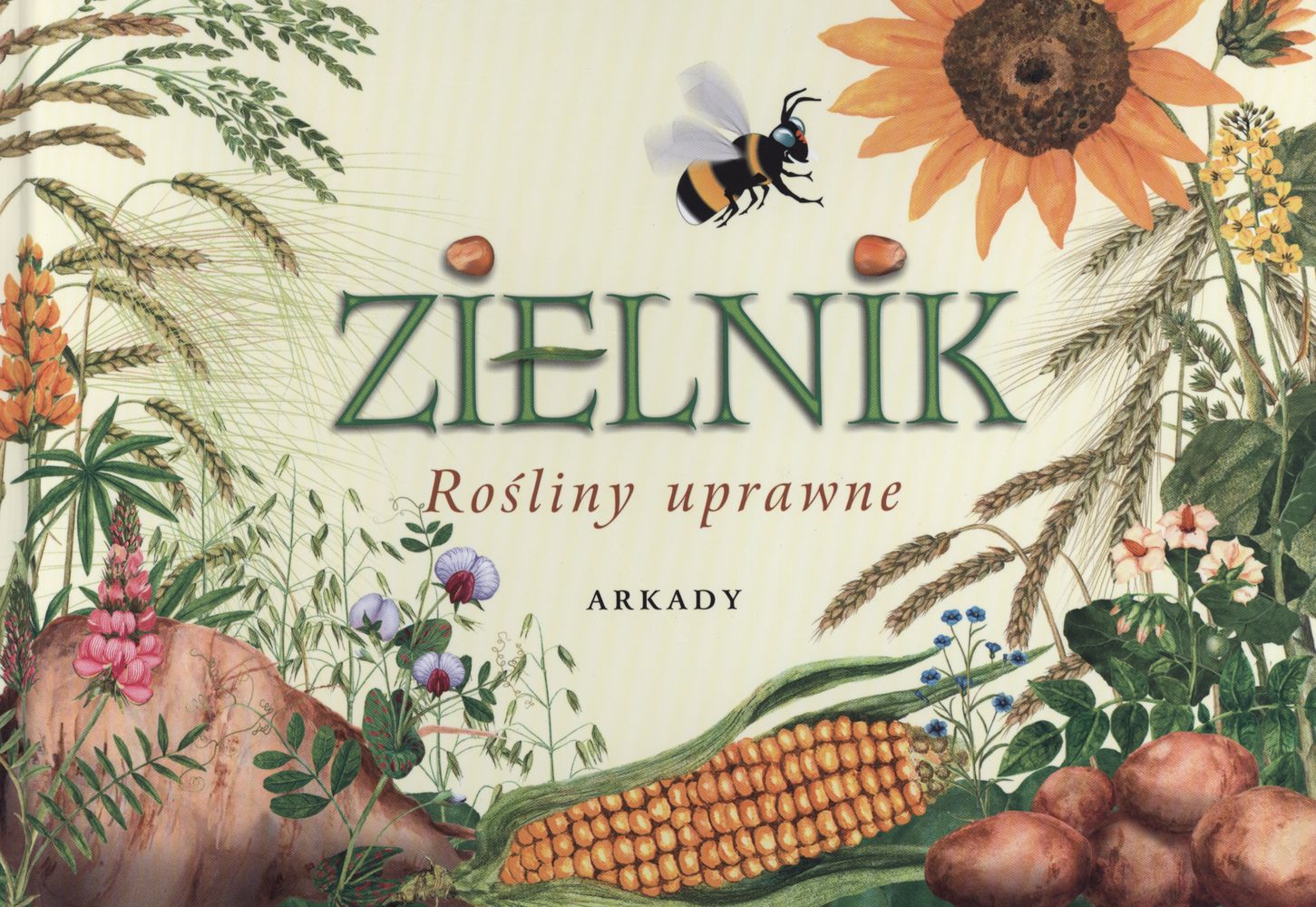 Image of Zielnik. Rośliny uprawne