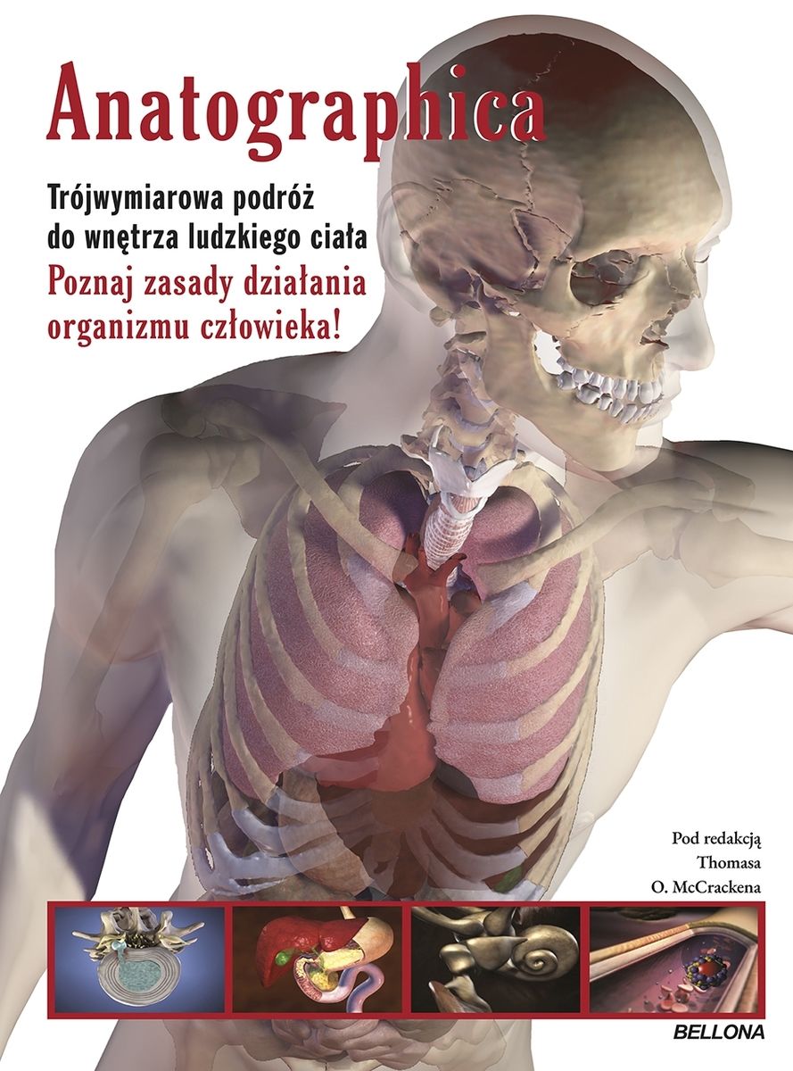 Image of Anatographica