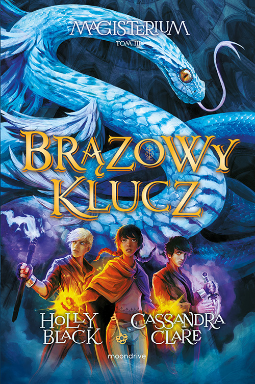 Image of Brązowy klucz