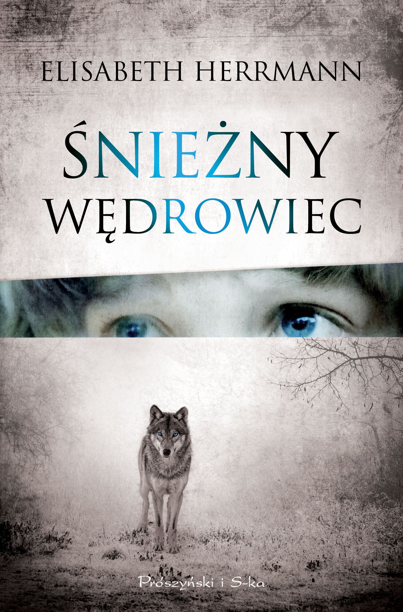 Image of Śnieżny wędrowiec