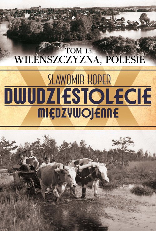 Image of Wileńszczyzna Polesie. Tom 13