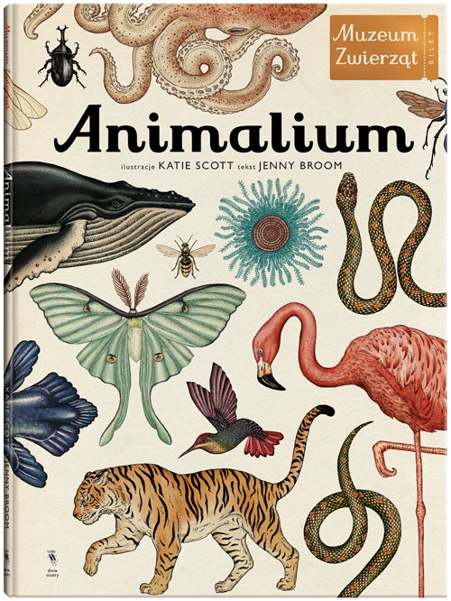 Image of Animalium Muzeum zwierząt