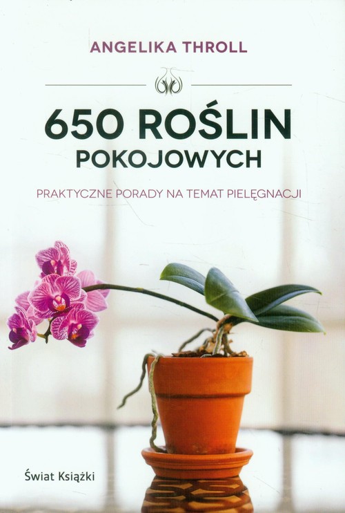 Image of 650 roślin pokojowych