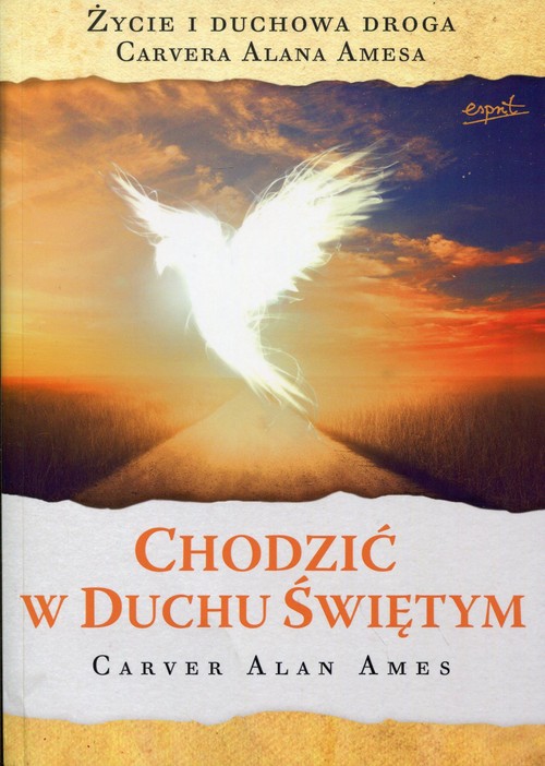 Image of Chodzić w Duchu Świętym