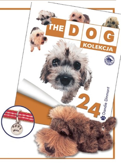 Image of Terier Dandie Dinmont