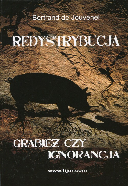Image of Redystrybucja Grabież czy ignorancja