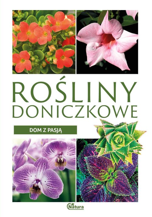 Image of Dom z pasją. Rośliny doniczkowe