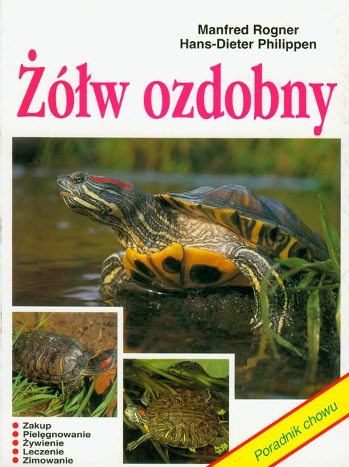 Image of Żółw ozdobny
