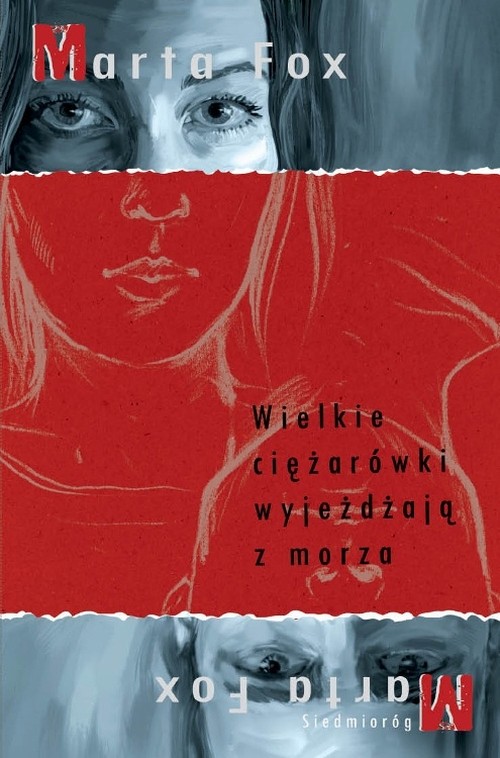 Image of Wielkie ciężarówki wyjeżdżają z morza
