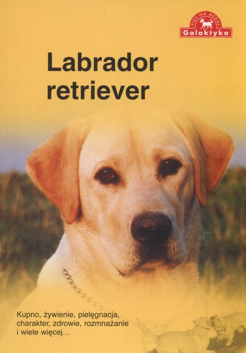 Image of Labrador retriever