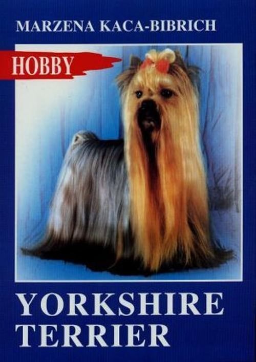 Image of Yorkshire terrier