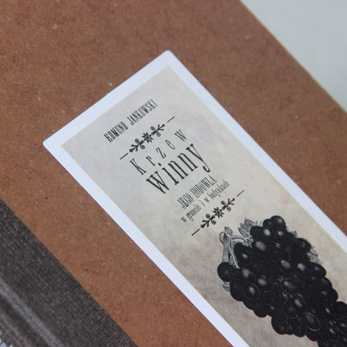 Image of Krzew winny Reprint wydania z 1885 r.