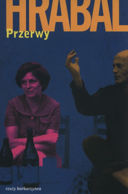 Image of Przerwy