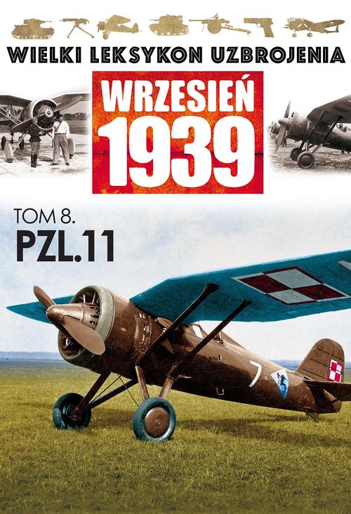 Image of PZL P.11