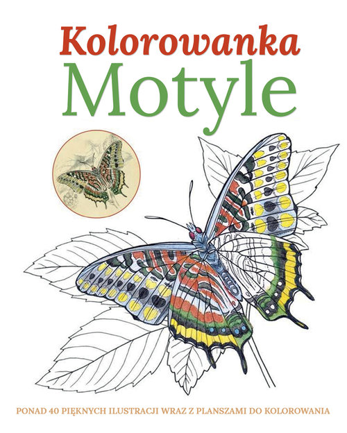Image of Motyle Kolorowanka