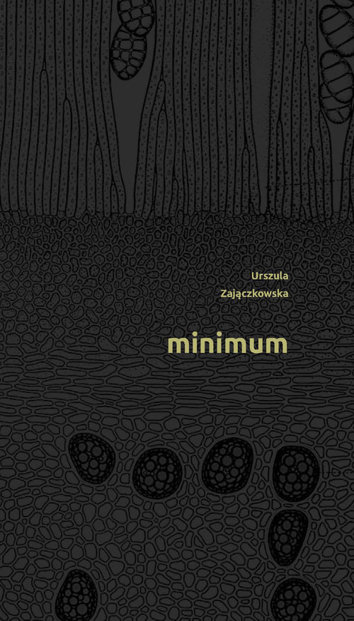 Image of Minimum