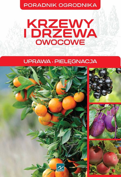 Image of Krzewy i drzewa owocowe