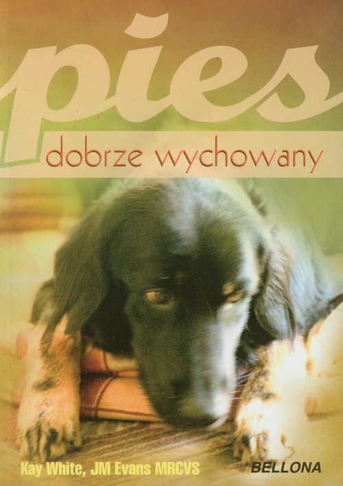 Image of Pies dobrze wychowany
