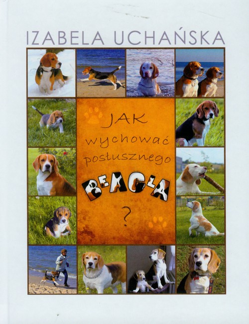 Image of Jak wychować posłusznego beagla