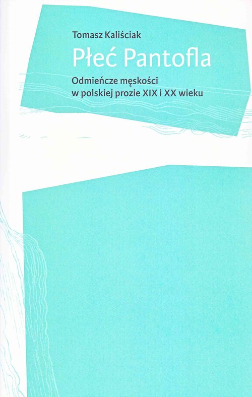 Image of Płeć Pantofla Odmieńcze męskości w polskiej prozie XIX i XX wieku