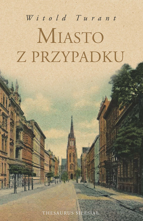Image of Miasto z przypadku