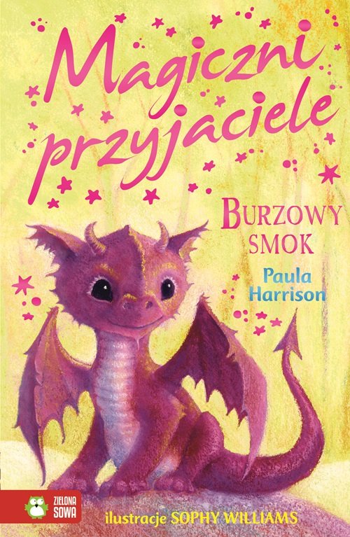 Image of Magiczni przyjaciele Burzowy smok