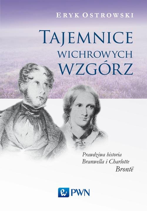 Image of Tajemnice wichrowych wzgórz Prawdziwa historia Branwella i Charlotte Brontë
