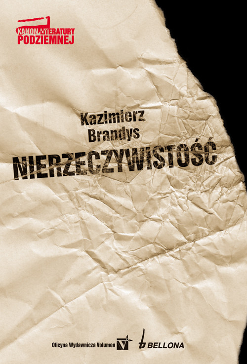 Image of Nierzeczywistość