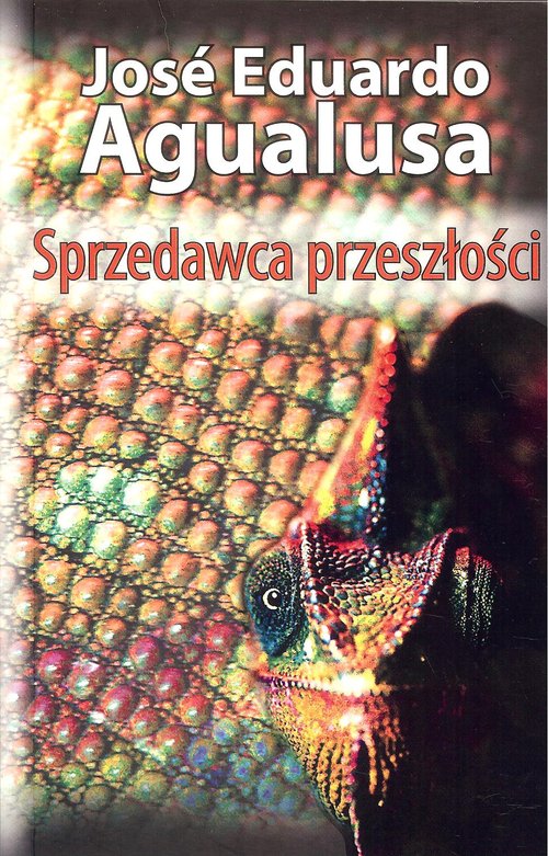 Image of Sprzedawca przeszłości