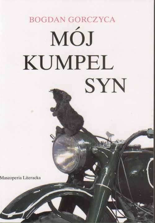 Image of Mój kumpel syn