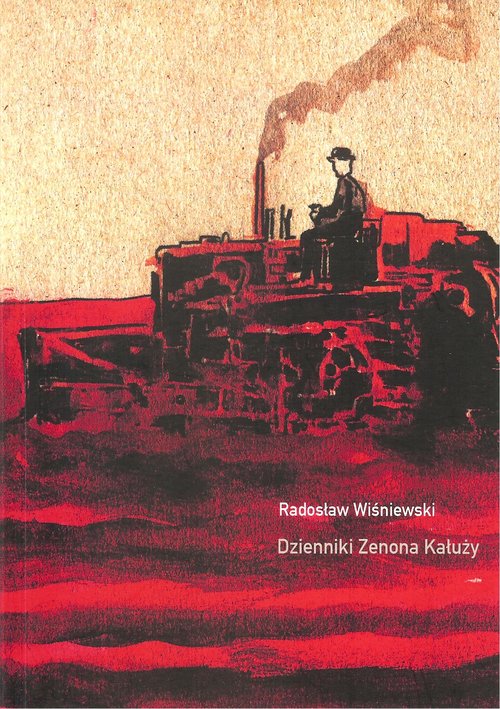 Image of Dzienniki Zenona Kałuży