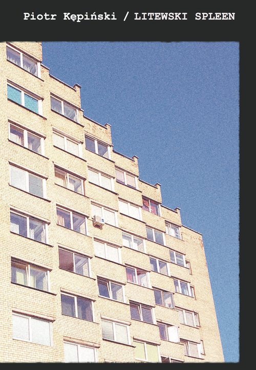 Image of Litewski spleen