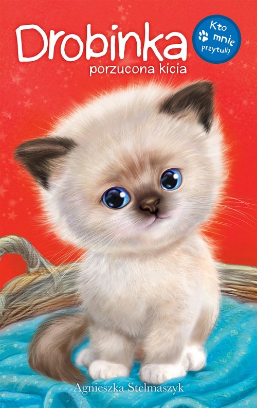 Image of Drobinka porzucona kicia