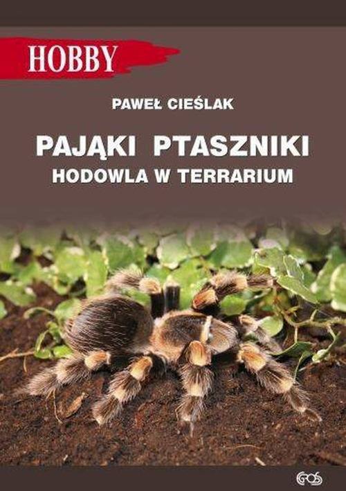 Image of Pająki ptaszniki w terrarium
