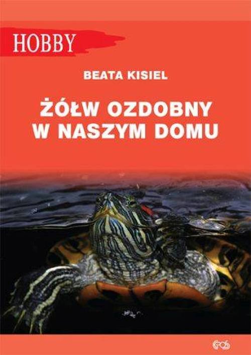 Image of Żółw ozdobny w naszym domu pielęgnowanie