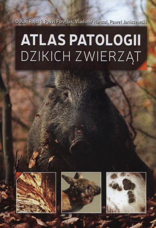 Image of Atlas patologii dzikich zwierząt