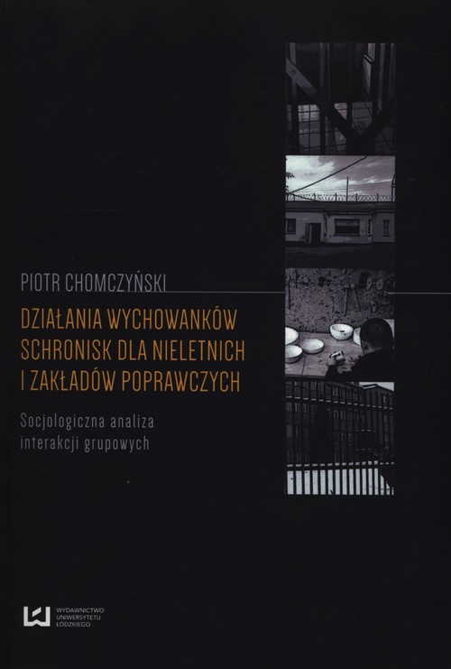 Image of Działania wychowanków schronisk dla nieletnich i zakładów poprawczych Socjologiczna analiza interakcji grupowych