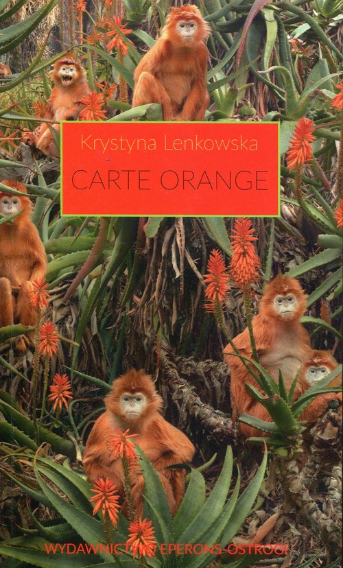 Image of Carte Orange