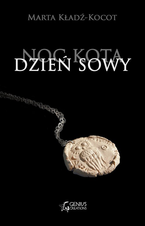 Image of Noc kota dzień sowy