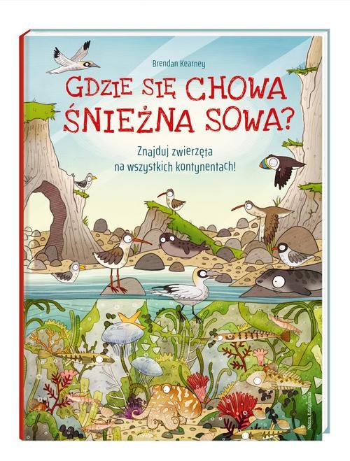 Image of Gdzie się chowa śnieżna sowa? Znajduj zwierzęta na wszystkich kontynentach