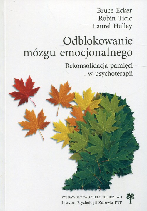 Image of Odblokowanie mózgu emocjonalnego Rekonsolidacja pamięci w psychoterapii