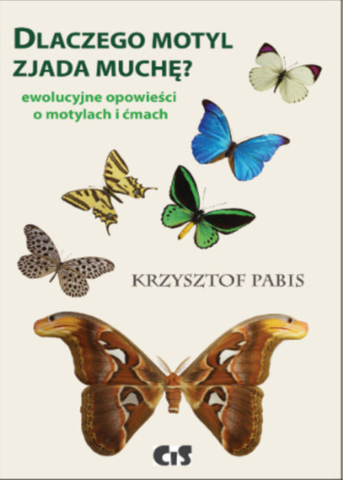 Image of Dlaczego motyl zjada muchę Ewolucyjne opowieści o motylach i ćmach