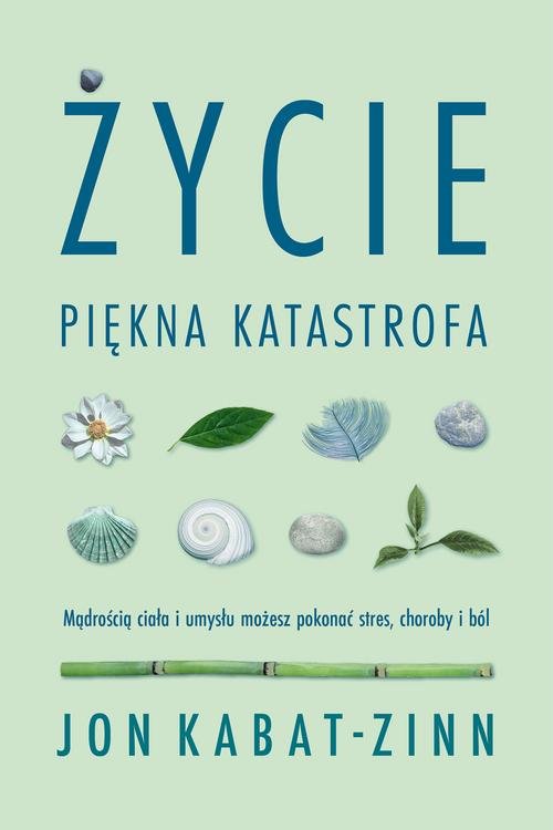Image of Życie piękna katastrofa