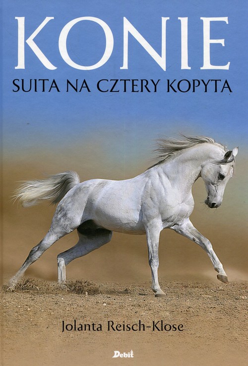 Image of Konie Suita na cztery kopyta