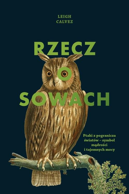 Image of Rzecz o sowach