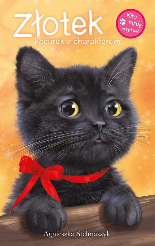 Image of Kto mnie przytuli Złotek kocurek z charakterem