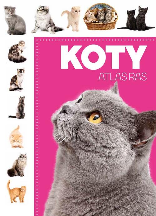 Image of Koty Atlas ras