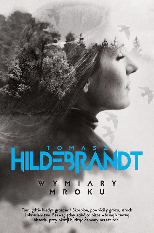 Image of Wymiary mroku