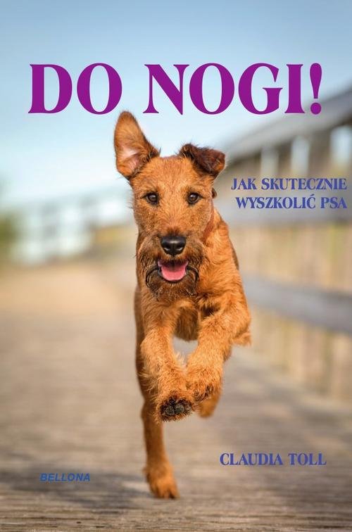 Image of Do nogi! Jak skutecznie wyszkolić psa